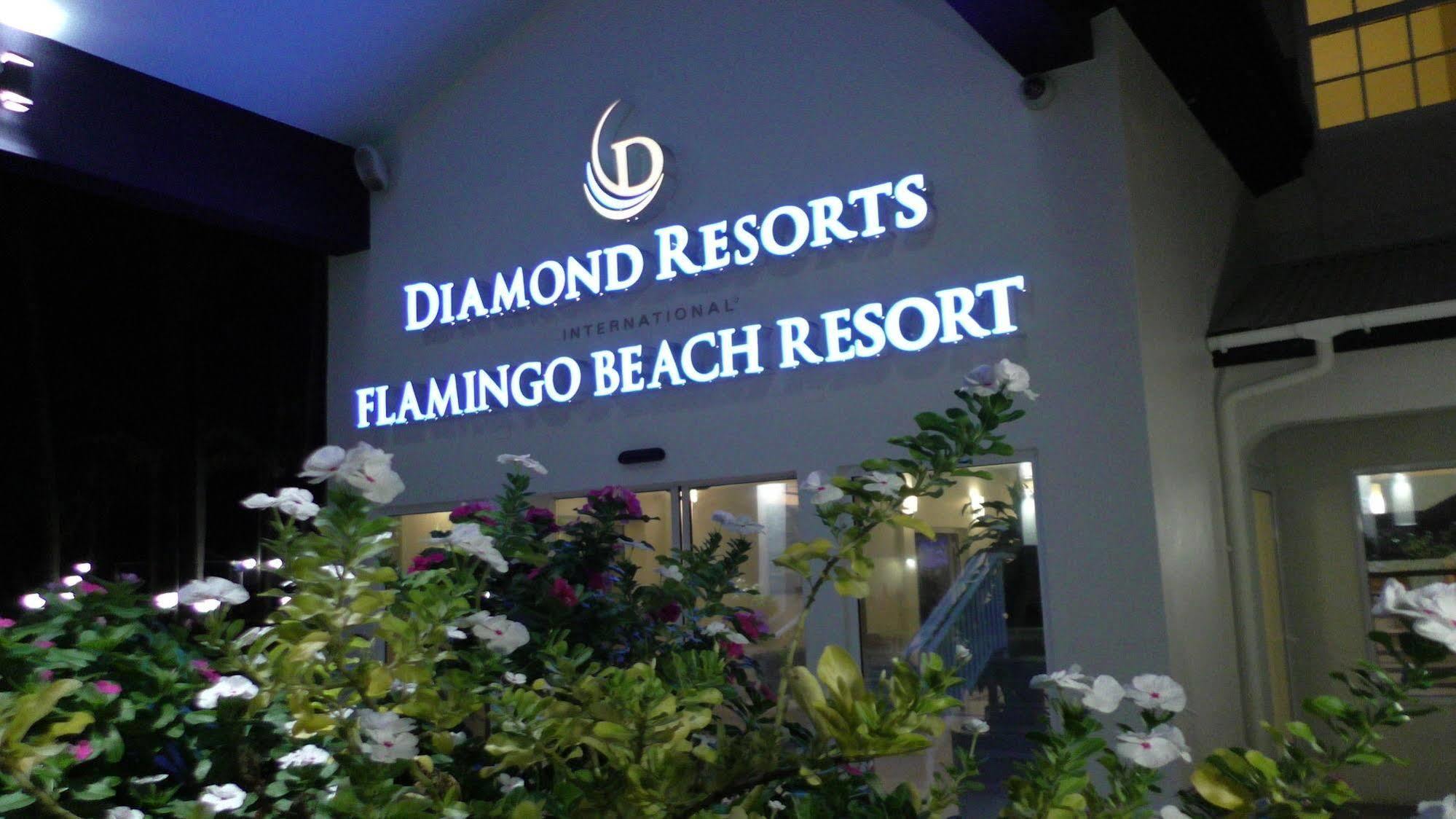 Hilton Vacation Club Flamingo Beach Sint Maarten Pelican Key Eksteriør billede